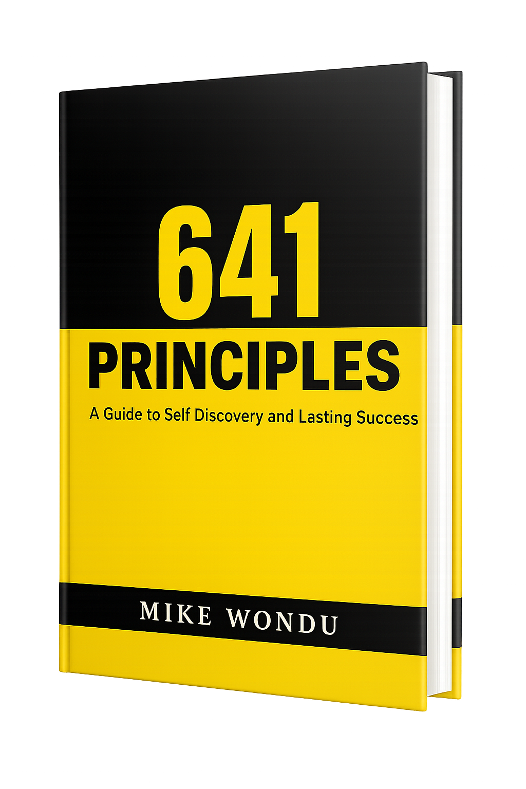 641 Principles Book Cover